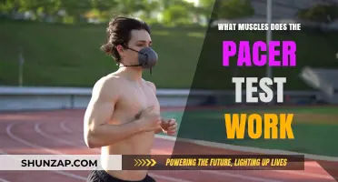 Pacer Test Muscles: Unlocking Cardiovascular and Lower Body Strength