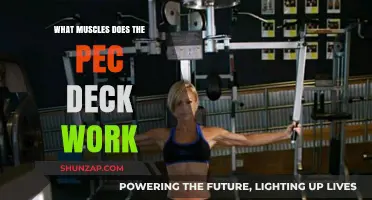 Pec Deck Workout: Targeted Muscles and Benefits Explained