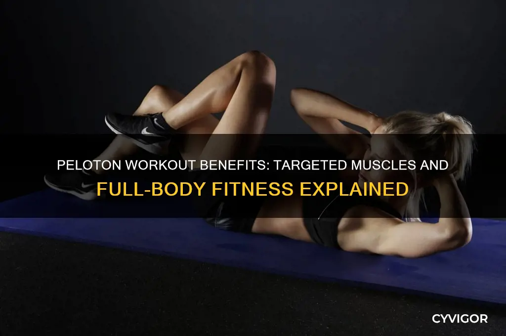 what muscles does the peleton work