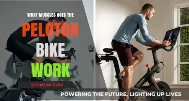 Peloton Bike Workout: Targeted Muscles for Full-Body Fitness