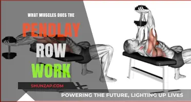 Pendlay Row Muscles: Targeted Back, Core, and Arm Strength Training