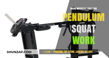 Pendulum Squat Muscles: Targeted Lower Body Activation Explained