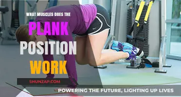 Plank Position: Target Muscles and Core Strengthening Benefits Explained