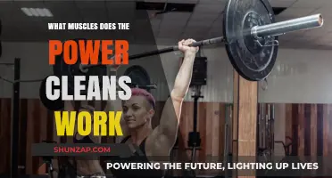 Power Cleans: Targeted Muscles and Full-Body Strength Benefits Explained
