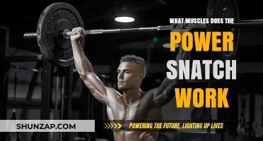 Power Snatch Muscles: A Full-Body Workout Breakdown