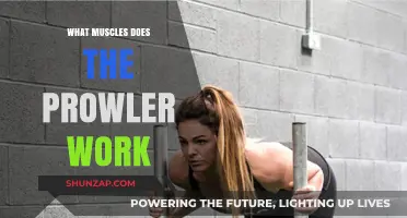 Prowler Workout Benefits: Targeted Muscles and Full-Body Engagement Explained