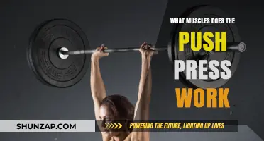 Push Press Power: Targeted Muscles for Strength and Performance
