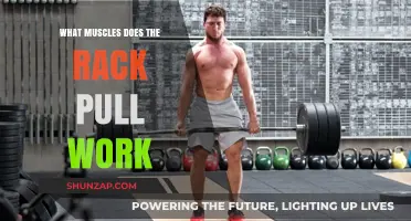 Rack Pull Muscles: Targeted Strength Training Benefits Explained