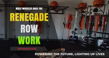 Renegade Row Muscles: Core, Back, and Shoulder Engagement Explained