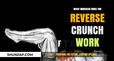 Reverse Crunch: Targeting Core Muscles for Stronger Abs and Stability