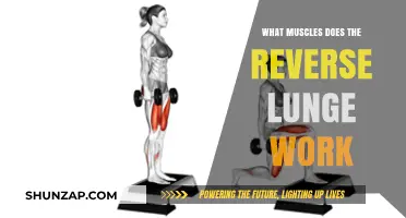 Reverse Lunge Muscles: Targeted Benefits and Workout Impact Explained