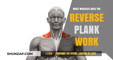 Reverse Plank Benefits: Targeted Muscles and Core Strength Explained