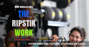 Ripstik Workout: Muscles Targeted and Strengthened by Riding
