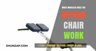 Roman Chair Workout: Targeted Muscles and Core Strength Benefits