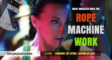 Rope Machine Muscles: Targeted Workout Benefits and Key Areas