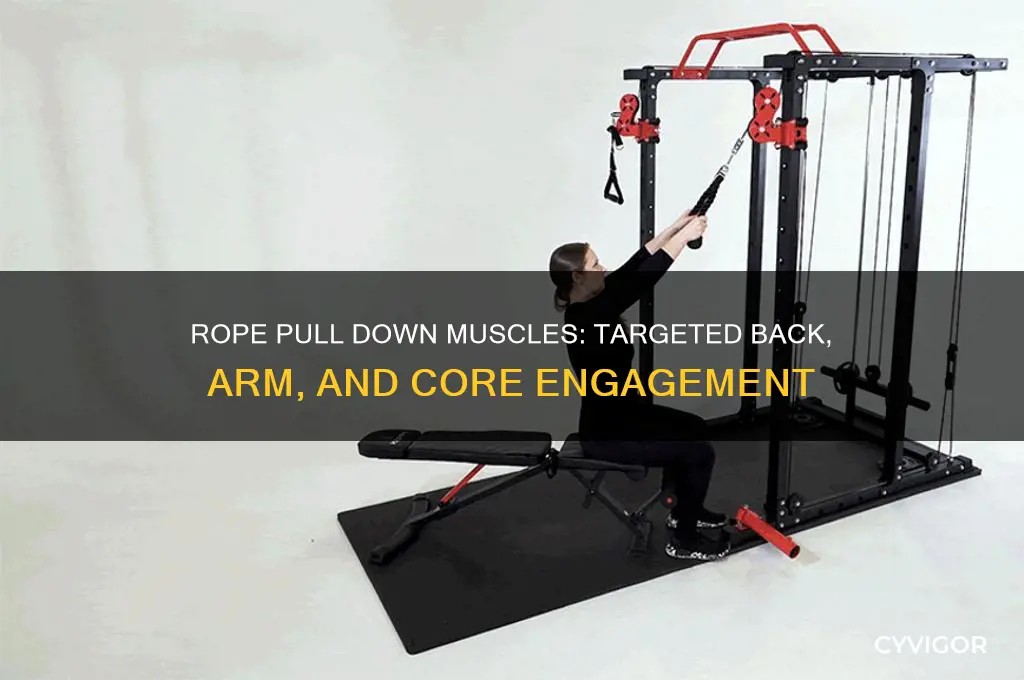 what muscles does the rope pull down work