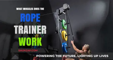 Rope Trainer Workout: Targeted Muscles and Full-Body Benefits Explained