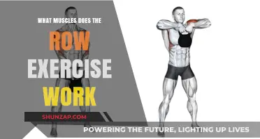 Row Exercise Muscles: Targeted Back, Arms, and Core Strength Training