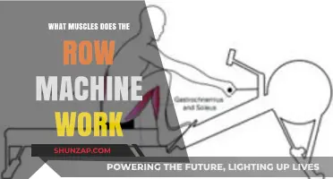 Row Machine Muscles: Targeted Workout for Back, Arms, and Core