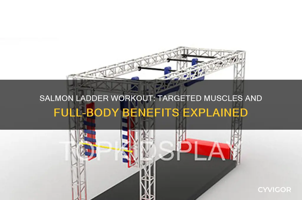 what muscles does the salmon ladder work