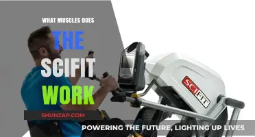 SciFit Workout Benefits: Targeted Muscles and Full-Body Engagement Explained
