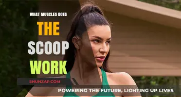 Scoop Exercise Benefits: Targeted Muscles and Effective Workout Techniques