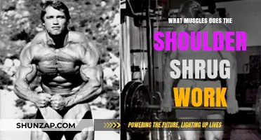Shoulder Shrug Muscles: Targeted Workout Benefits and Techniques Explained