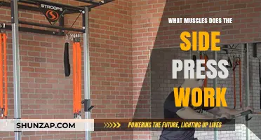 Side Press Muscles: Targeted Benefits and Workout Impact Explained