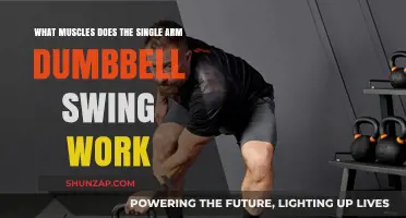 Single Arm Dumbbell Swing: Target Muscles and Benefits Explained