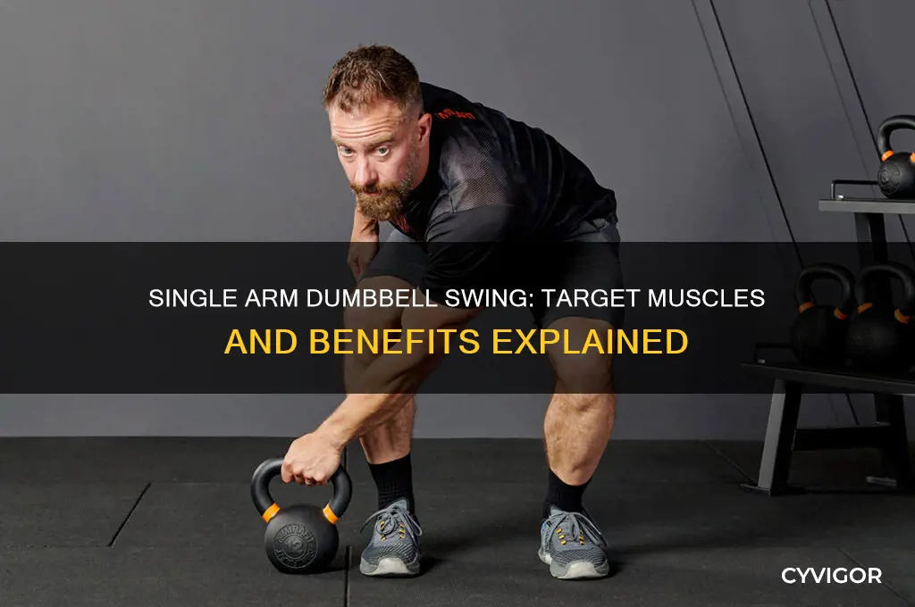 what muscles does the single arm dumbbell swing work