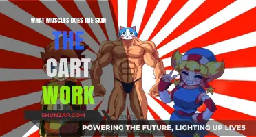 Skin the Cat Exercise: Targeted Muscles and Benefits Explained