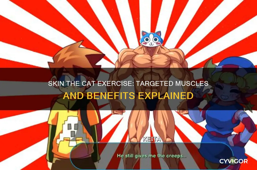 what muscles does the skin the cart work