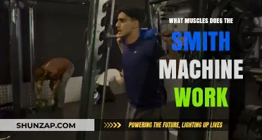 Smith Machine Muscles: Targeted Strength Training for Upper and Lower Body