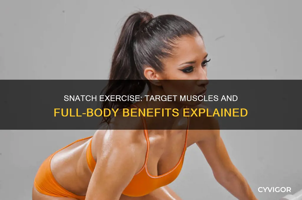 what muscles does the snatch work