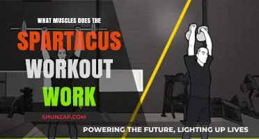Spartacus Workout: Target Muscles and Full-Body Benefits Explained
