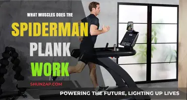 Spider-Man Plank: Targeted Muscles and Core Strength Benefits Explained
