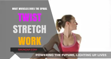 Spinal Twist Stretch: Targeted Muscles and Flexibility Benefits Explained