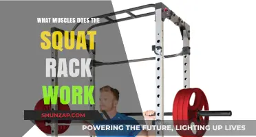 Squat Rack Muscles: Targeted Strength Training for Lower Body Power