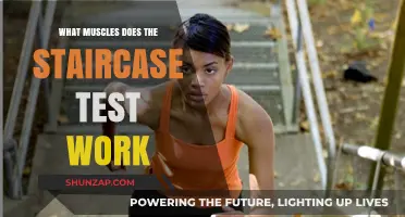 Staircase Test Muscles: Unlocking Lower Body Strength and Endurance