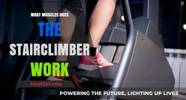 Stair Climber Workout: Targeted Muscles and Fitness Benefits Explained