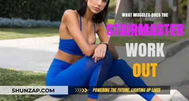 StairMaster Workout Benefits: Targeted Muscles and Full-Body Fitness Boost