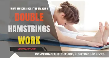 Standing Double Hamstrings: Targeted Muscles and Benefits Explained