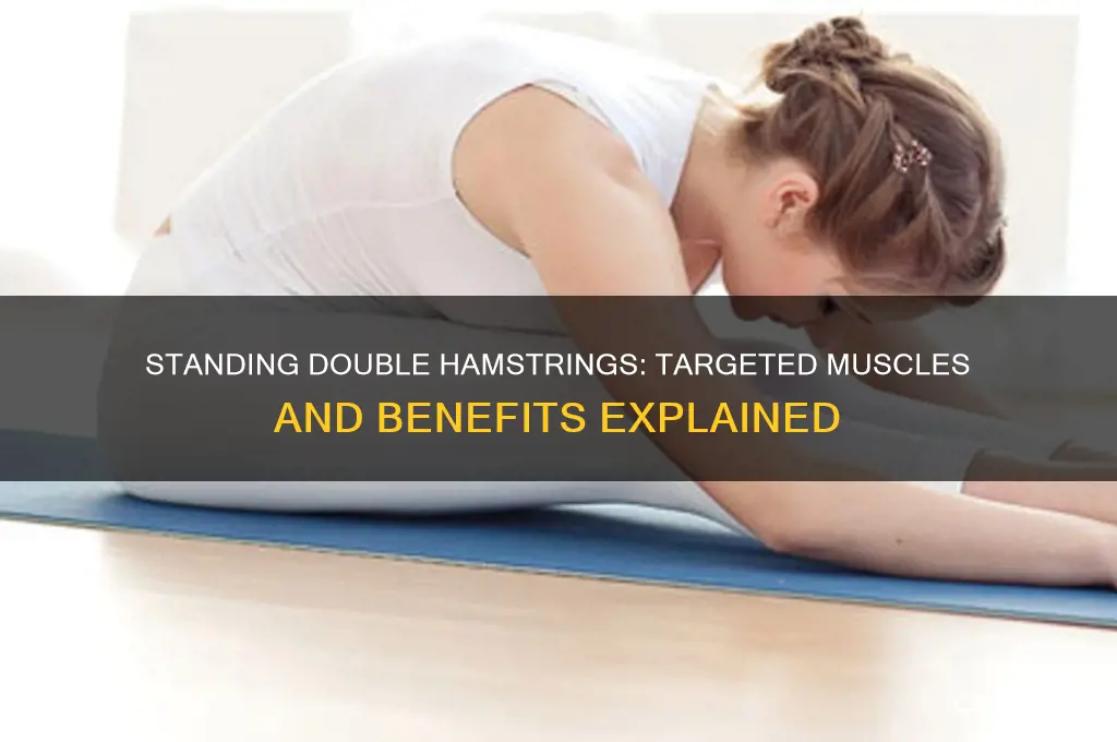 what muscles does the standing double hamstrings work