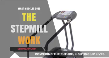 StepMill Workout Benefits: Targeted Muscles and Full-Body Engagement Explained