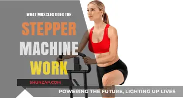 Stepper Machine Muscles: Targeted Toning for Lower Body and Core