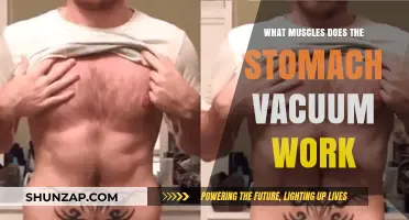 Stomach Vacuum: Targeted Muscles and Core Strengthening Benefits Explained