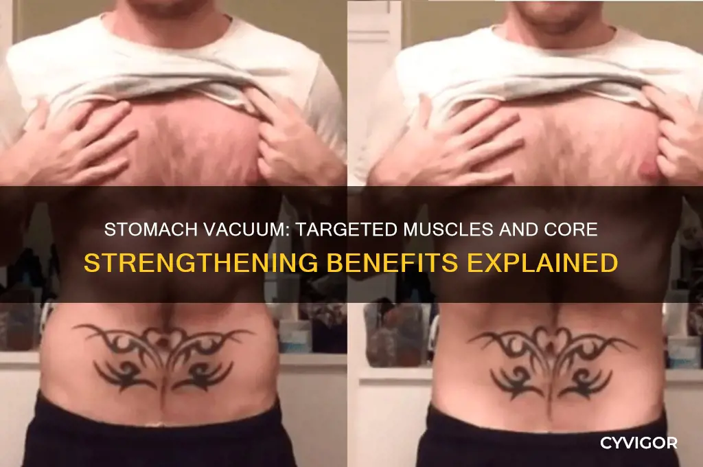 what muscles does the stomach vacuum work