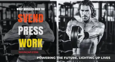 Svend Press Muscles: Targeted Chest, Shoulder, and Triceps Activation Explained