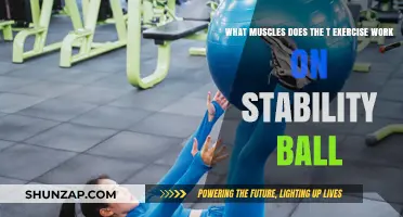 Stability Ball T-Exercise: Target Muscles for Core Strength & Stability