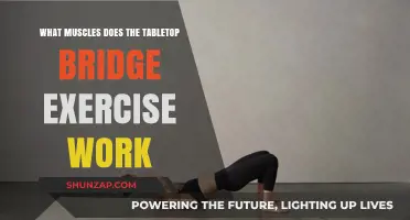 Tabletop Bridge Exercise: Target Muscles and Benefits Explained
